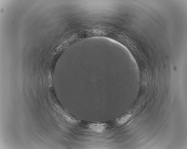 X0000058760465200510211702