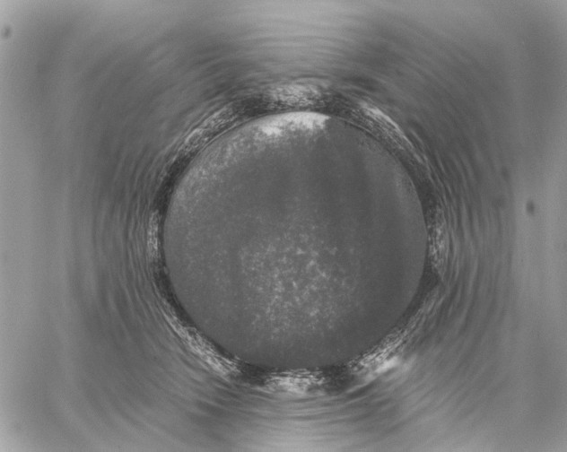 X0000058760466200510211702