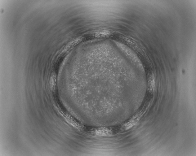 X0000058760468200510211702