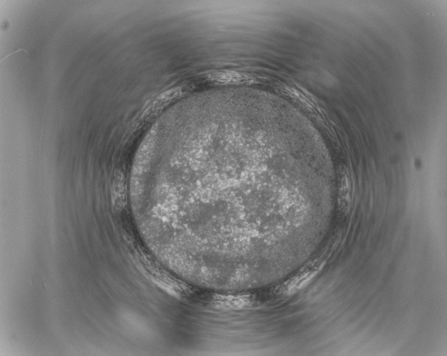 X0000058760469200510211702