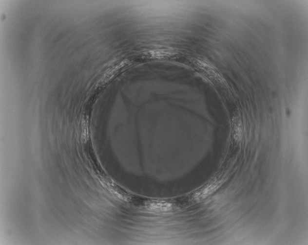 X0000058760471200510211702