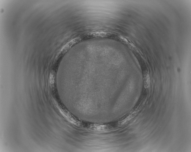 X0000058760472200510211702