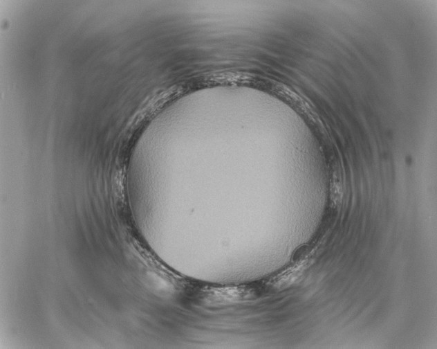 X0000058760473200510211702