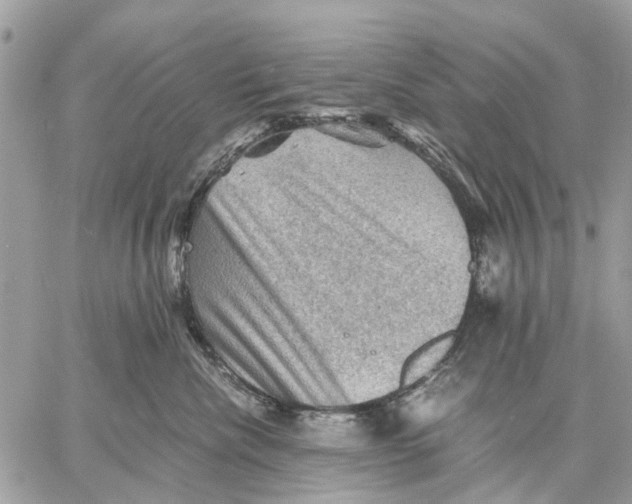 X0000058760476200510211702