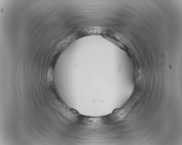 X0000058760478200510211702