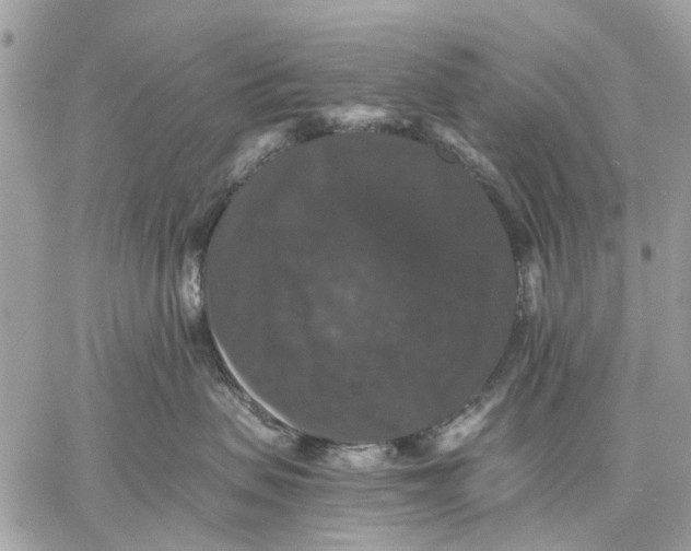 X0000058760479200510211702