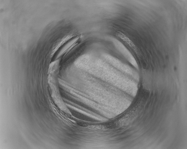 X0000058760482200510211701