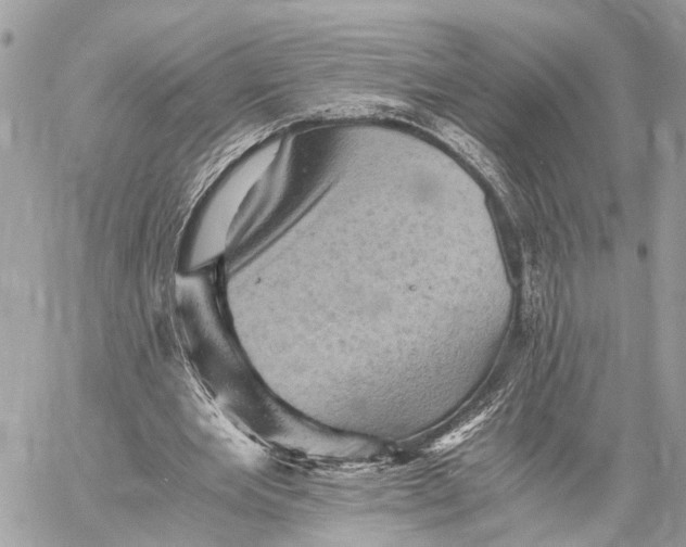 X0000058760485200510211701