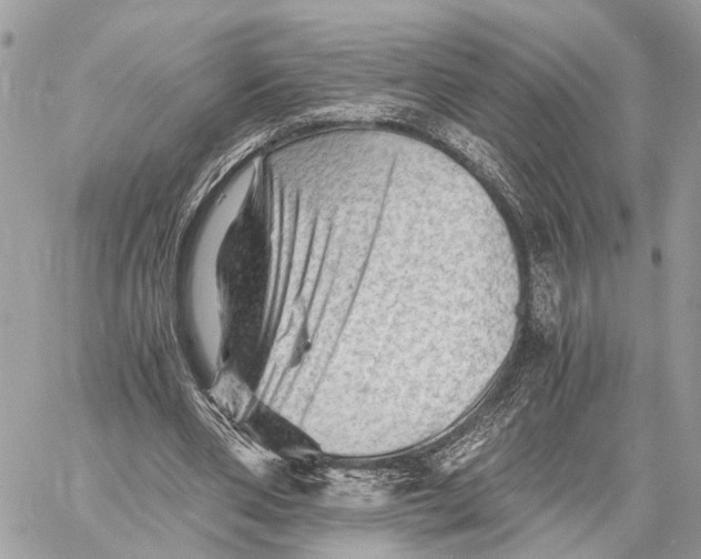 X0000058760486200510211701