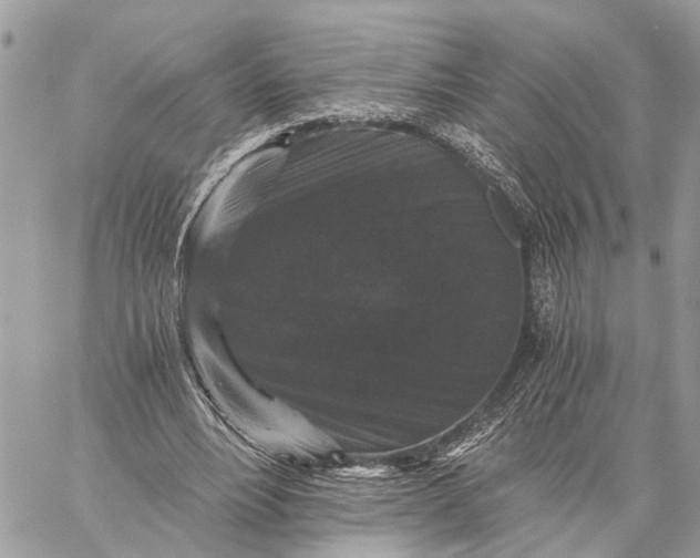 X0000058760488200510211701