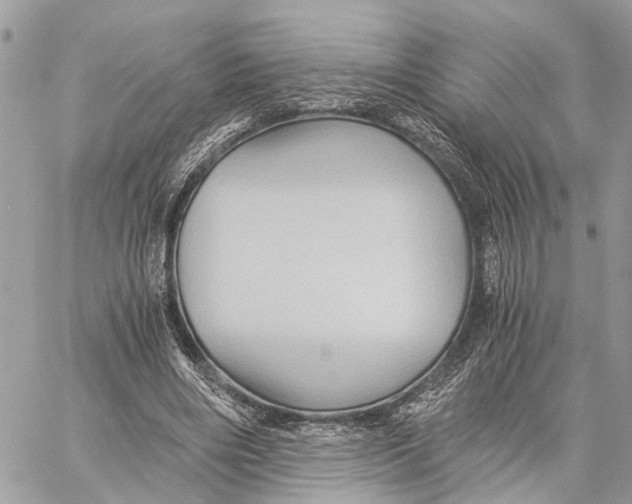 X0000058760490200510211701