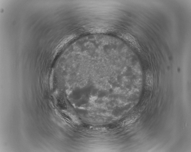 X0000058760491200510211701