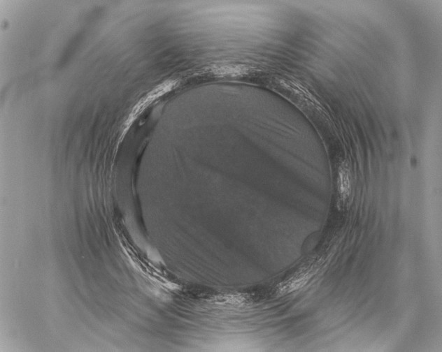 X0000058760492200510211701