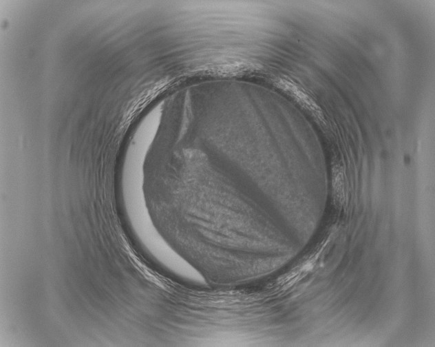 X0000058760493200510211701