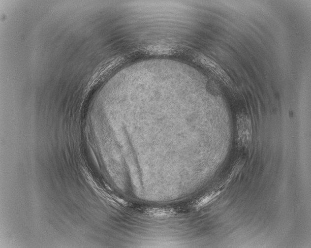 X0000058760494200510211701