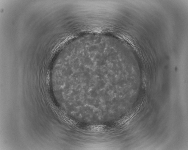 X0000058760495200510211701