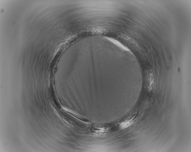 X0000058760496200510211701