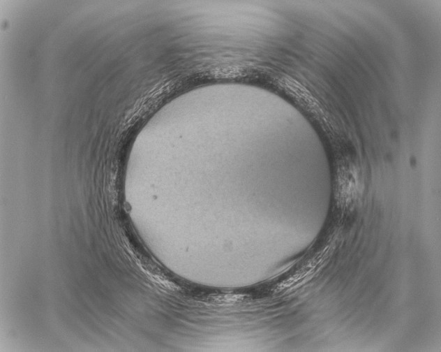 X0000058760497200510211701