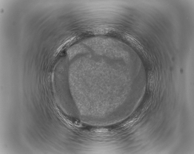 X0000058760501200510211701