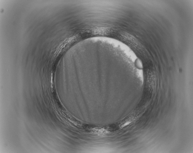 X0000058760502200510211701