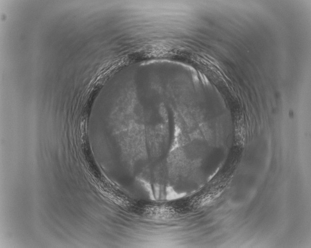 X0000058760503200510211701