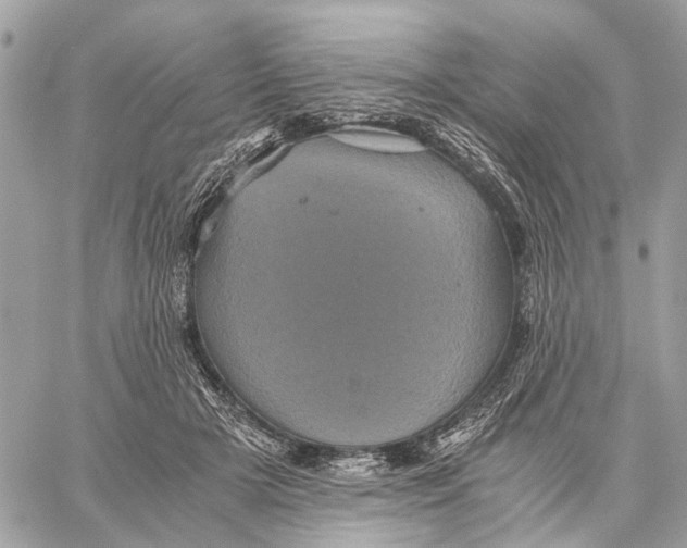 X0000058760505200510211701