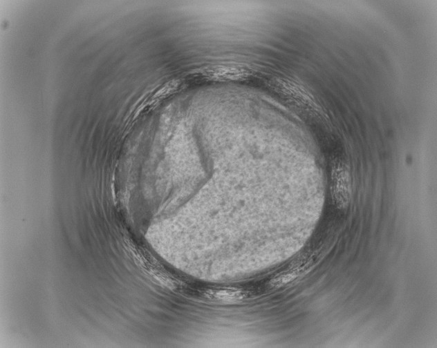 X0000058760506200510211701