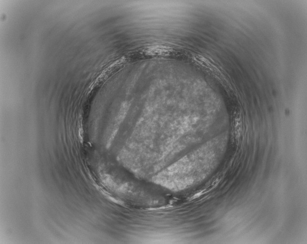 X0000058760508200510211701