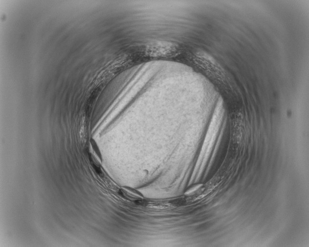 X0000058760510200510211701