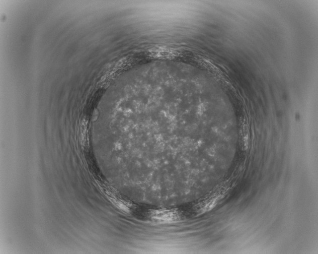 X0000058760511200510211701