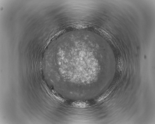 X0000058760512200510211701