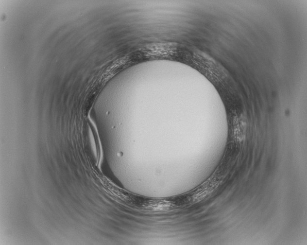 X0000058760514200510211701