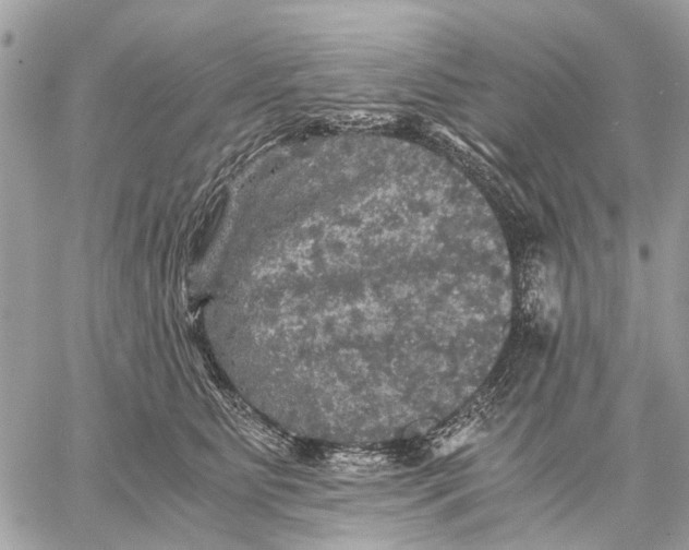 X0000058760515200510211701