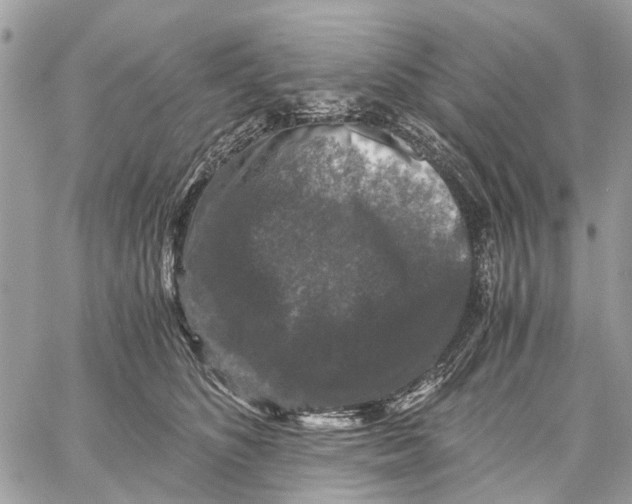 X0000058760516200510211701