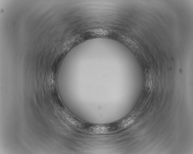 X0000058760518200510211701