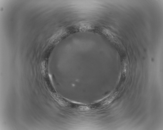 X0000058760519200510211701