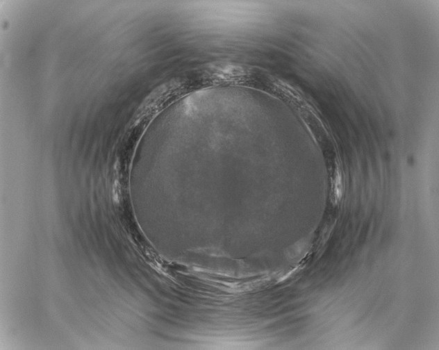 X0000058760520200510211701