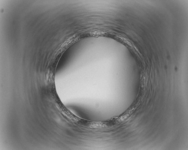 X0000058760521200510211701