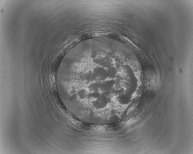 X0000058760523200510211701