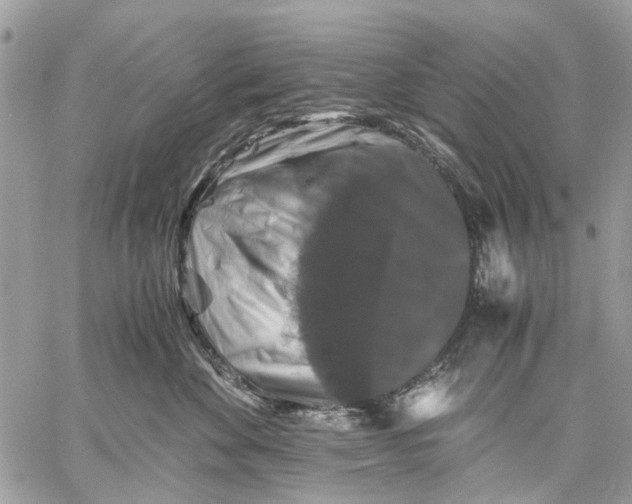 X0000058760524200510211701