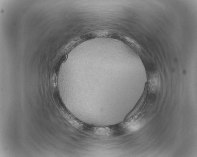 X0000058760525200510211701