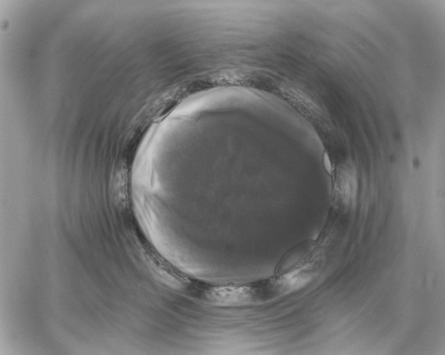 X0000058760526200510211701