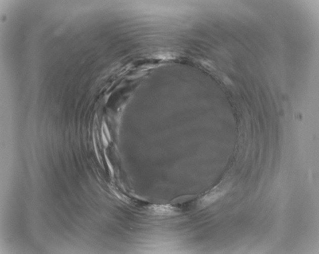 X0000058760528200510211701