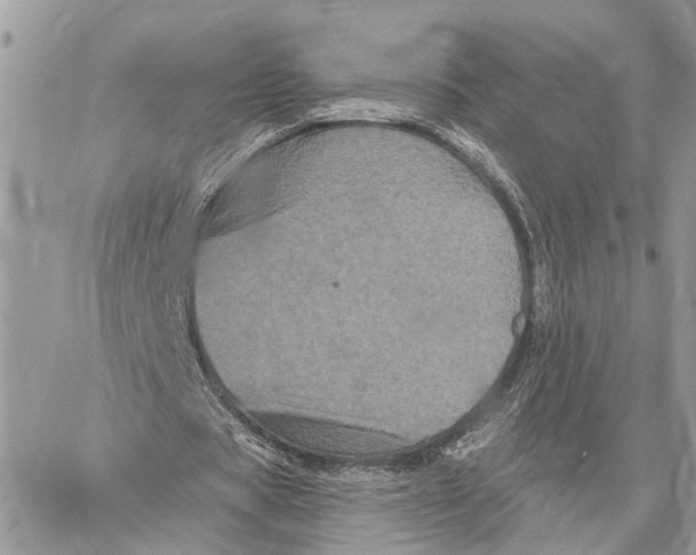 X0000058760529200510211700