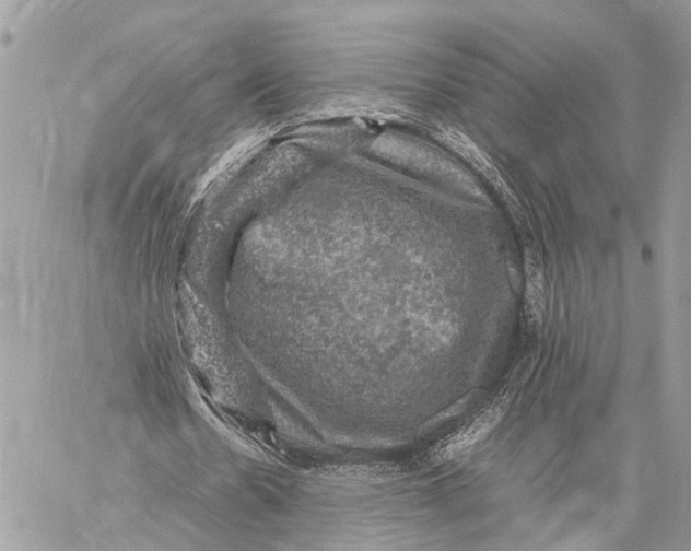 X0000058760530200510211700