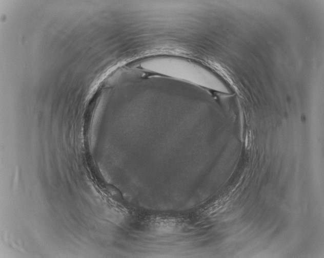 X0000058760531200510211700