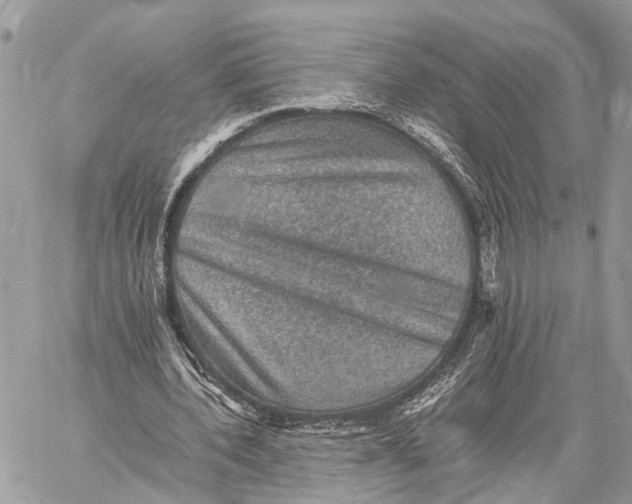 X0000058760532200510211700