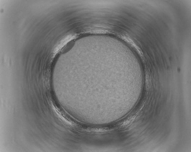 X0000058760533200510211700