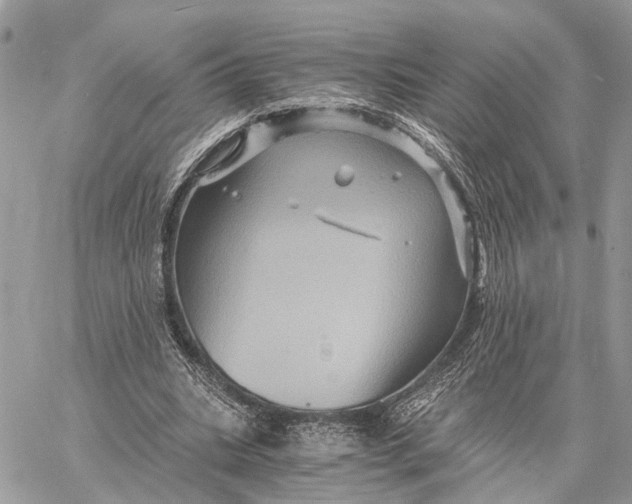 X0000058760535200510211700