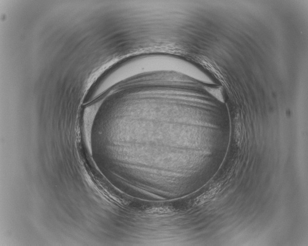 X0000058760536200510211700